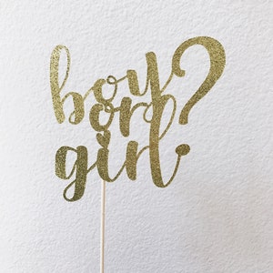 Boy or Girl Cake Topper