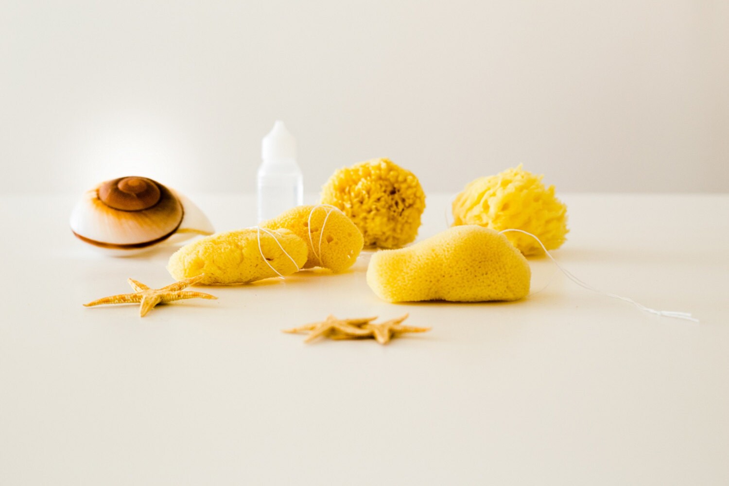 Sea Natural Sponge Tampons 5pcs by Poseidon Sponge Etsy