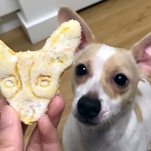 Your dog face onto a custom portrait cookie cutter.