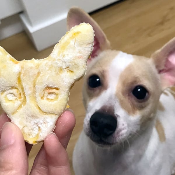 Custom Pet Portrait Cookie Cutter: Personalized Dog or Cat Mold