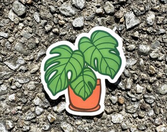 Monstera Sticker; Plant Sticker; Plant Lover Sticker; Die Cut Sticker