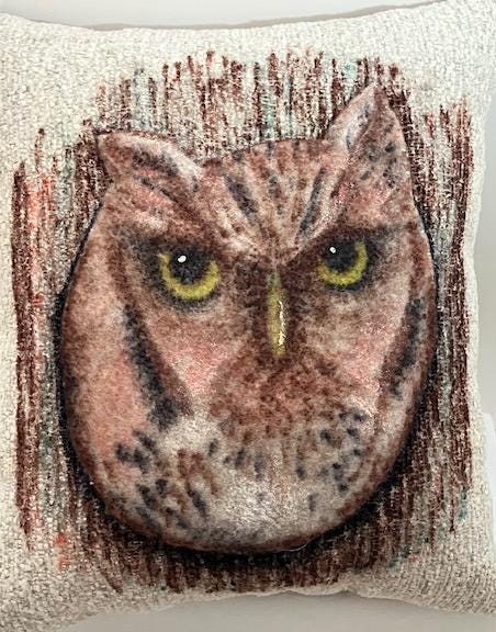 Screech Owl Hand Painted and Hand Applique Decorative Pillow