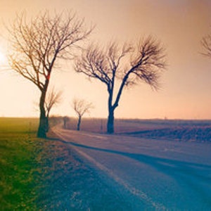 May include: A long, winding dirt road leads through a field with bare trees on either side. The sun is setting in the distance, casting a warm glow over the scene.