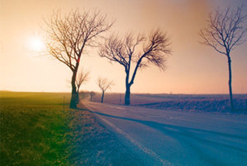 May include: A long, winding dirt road leads through a field with bare trees on either side. The sun is setting in the distance, casting a warm glow over the scene.