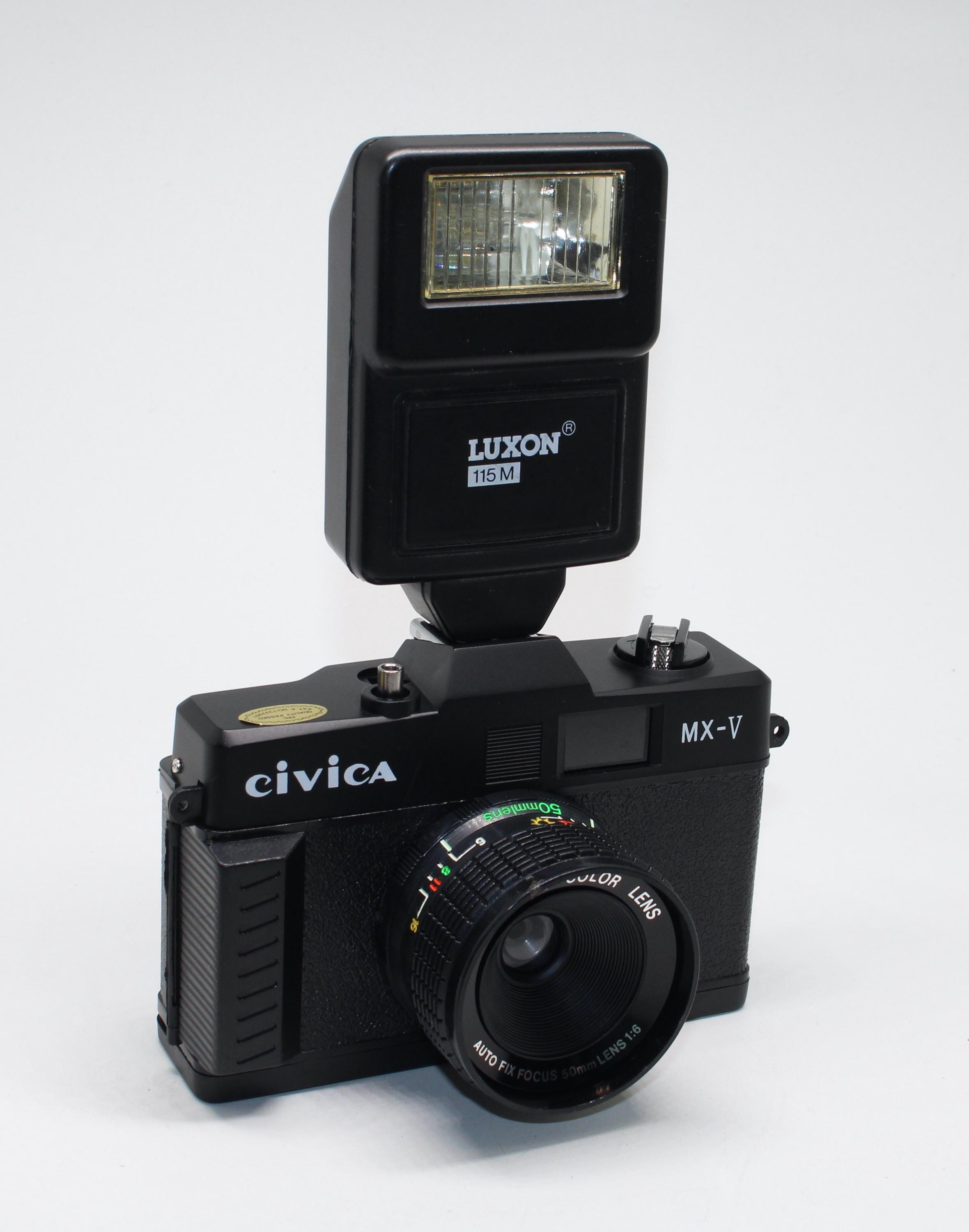 Diana f flash camera - Etsy 日本