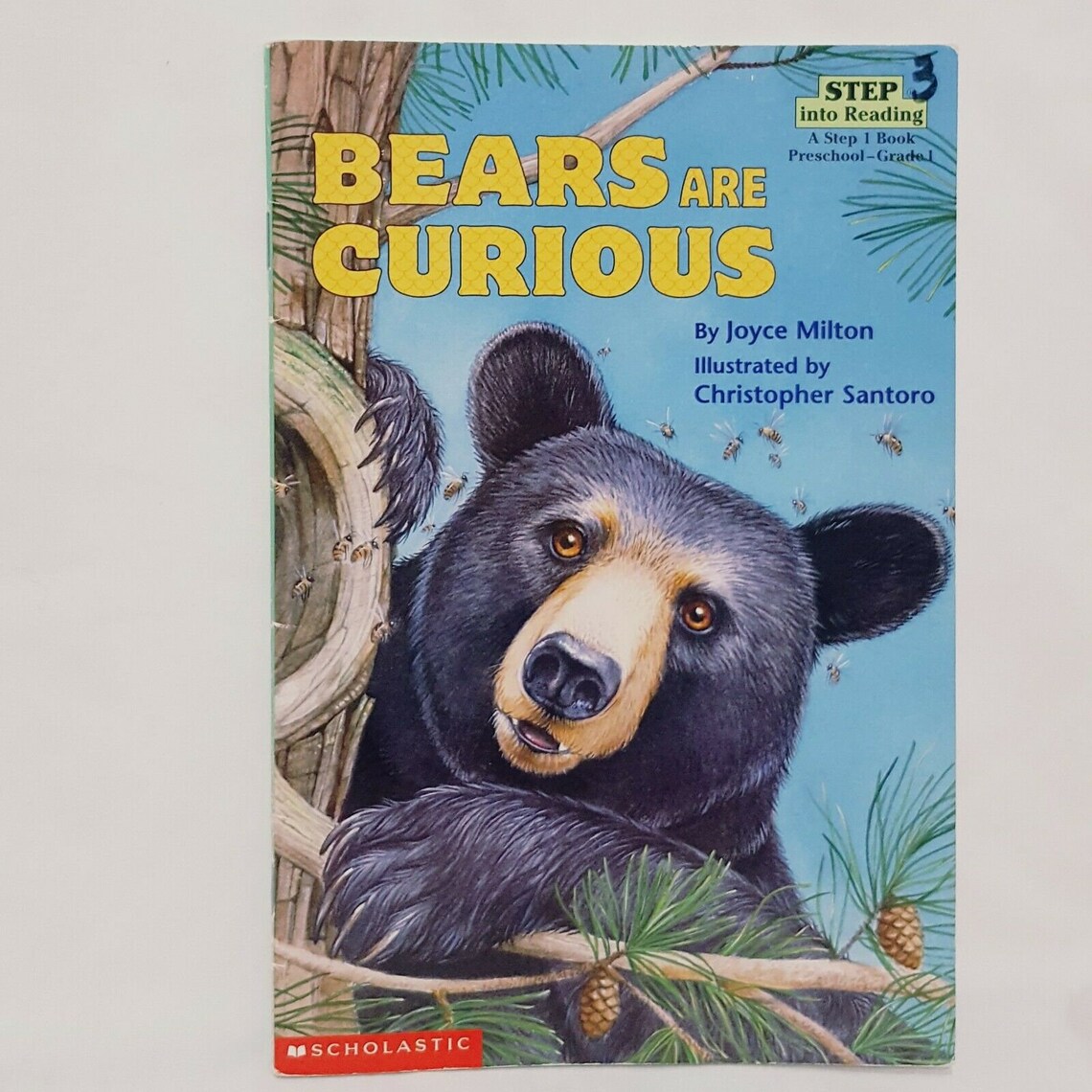 Bears are Curious Book 2000 Paperback Joyce Milton Scholastic Etsy