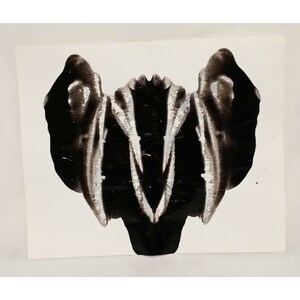 Original Abstract Art Ink Blot Mirror Image Reflection Black White 7&quot; Head Skull