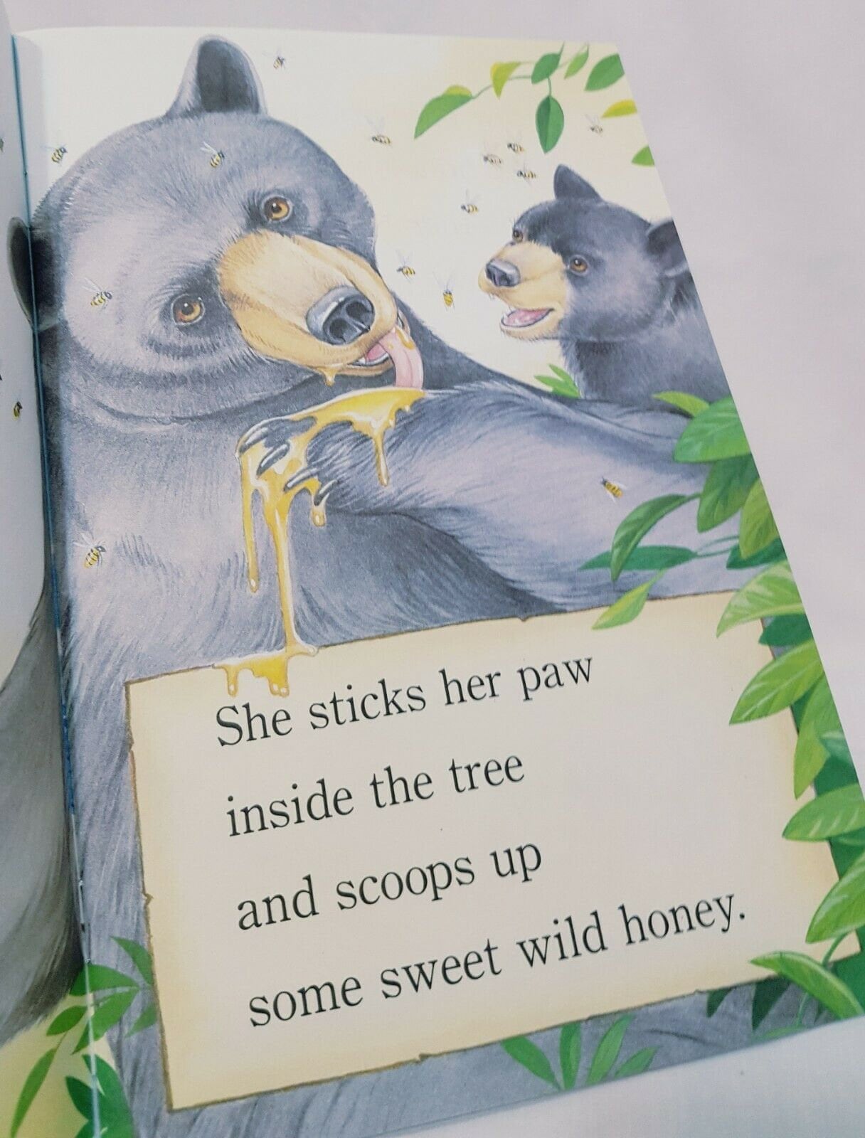 Bears Are Curious Book 2000 Paperback Joyce Milton Scholastic 