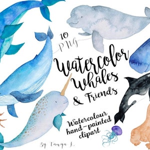 Ocean Animal Png, Watercolor Whales, Nautical Clip Art, Watercolor Clipart, Png Sea Animals, Kids Png Clipart, Whale Png Clipart