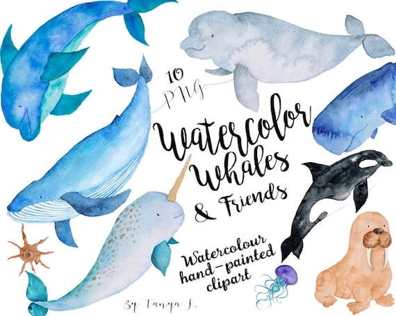 Watercolor Whales Clipart: Ocean Animals PNG Bundle (Digital Download)