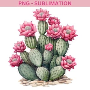 Watercolor Cactus Sublimation Download,Instant PNG Format for Shirts and Crafting Designs,Digital Pink Floral Plant Image for Commercial Use image 3