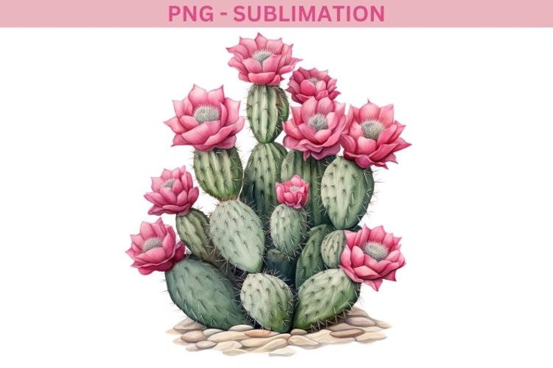 Watercolor Cactus Sublimation Download,Instant PNG Format for Shirts and Crafting Designs,Digital Pink Floral Plant Image for Commercial Use image 3