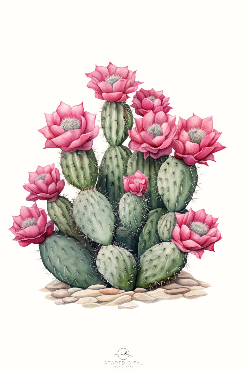 Watercolor Cactus Sublimation Download,Instant PNG Format for Shirts and Crafting Designs,Digital Pink Floral Plant Image for Commercial Use image 6