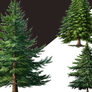 Winter Wonderland Forest Clipart Bundle - Fir Tree Illustrations, Pine Cone, Christmas Tree Png, Digital Winter Clipart