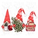 Graphic Design, Gnome For Holidays, Xmas Sublimation, Gnome Shirt Transfer, Christmas Sub, Christmas Gnome Png, Gnomes Sublimation