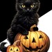 Black Cat Pumpkin Art Print Cat Design PNG for Autumn Decor, Spooky ...
