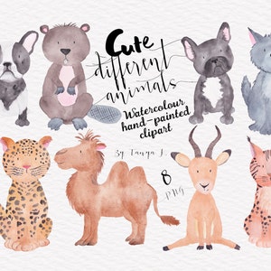 Akwarela leśne zwierzęta Clipart, Pies Wilk Clipart, Francuski Buldog Png Cyfrowy, Baby Shower w Przedszkolu, Las Clipart do Użytku Komercyjnego
