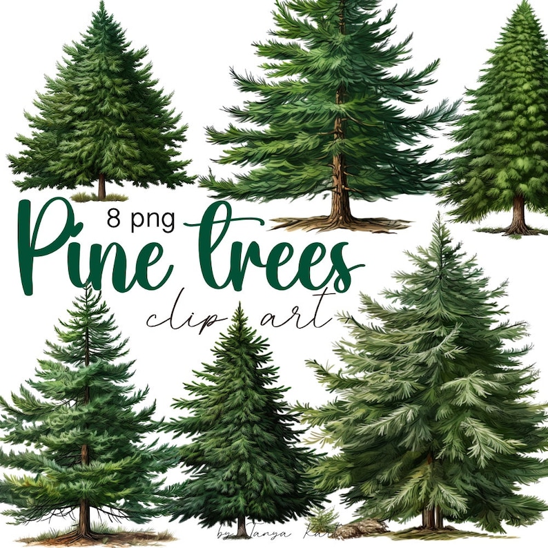 Whimsical Forest Trees Illustrations - Tree Clipart, Winter Clipart, Christmas Png Bundle, Pine Tree Png, Greenery Clipart