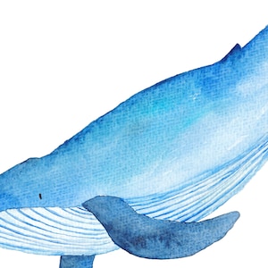 Aquarell Wale Clipart: Ozean Tiere PNG Bundle (Digitaler Download) Bild 5