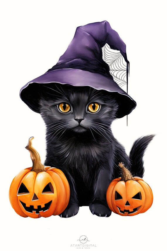 cat with witch hat pumpkin