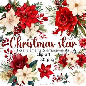 Weihnachten Blumen Clipart Bündel,Weihnachtsstrauß Blumen,Rot & Weiß Winterarrangement,Sofortiger Download für kommerzielle Nutzung,Digitale Illustration
