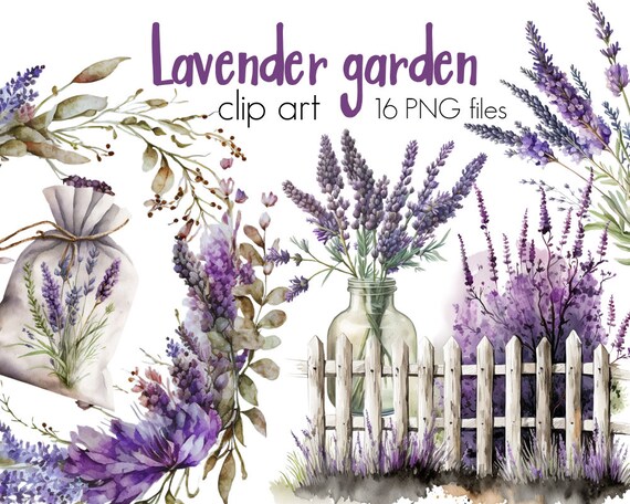 Lavender Png Clipart, Watercolor Flowers, Blue Floral Clipart, Gardening Graphics, Provence Bouquet Png, Lavender Wedding, Botanical Digital