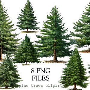Forest Trees Illustration, Greenery Christmas Png Bundle Clipart, Winter Digital Clipart, Fir Tree, Pine Cone, Christmas Evergreen Trees