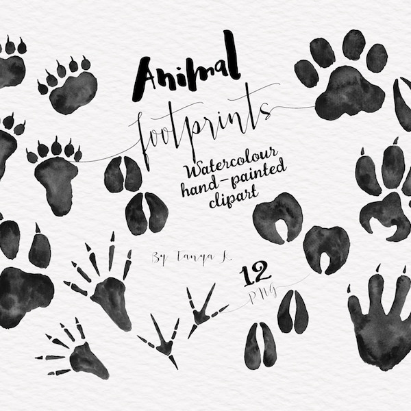 Woodland Animal Foot Print Clipart Set, Handpainted Watercolor PNG Files for Commercial Use, Crafts & Designs, Nursery Decor, Animal Paw