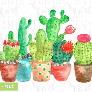 Cactus Watercolor, Sublimation Designs, Watercolor Painting, Succulent Watercolor, Cactus Sublimation, Cactus PNG File, Cactus Drawing