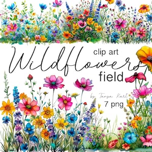 Clipart numérique prairie de fleurs sauvages, aquarelle de fleurs, téléchargement immédiat, clipart floral printanier, bouquets de fleurs sauvages, Images PNG numériques