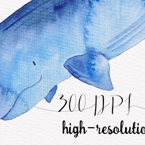 K&ouml;nnte beinhalten: Aquarellmalerei eines blauen Wals mit dem Text "300 DPI hohe Aufl&ouml;sung" darunter.
