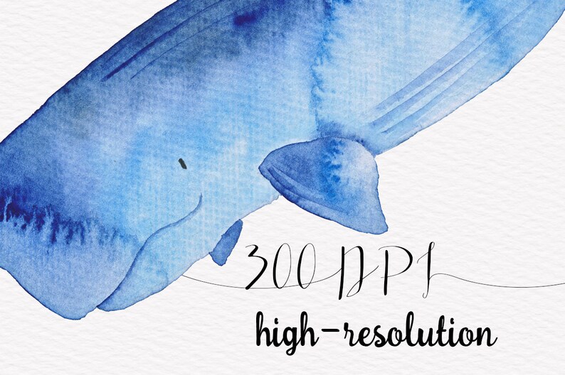 K&ouml;nnte beinhalten: Aquarellmalerei eines blauen Wals mit dem Text "300 DPI hohe Aufl&ouml;sung" darunter.