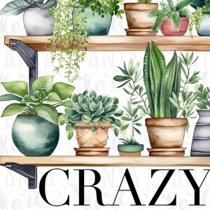 May include: A set of wooden shelves with a variety of potted plants, including succulents, ferns, and snake plants. The shelves are painted brown and have black metal brackets. The text "CRAZY" is printed in black on the bottom shelf.
