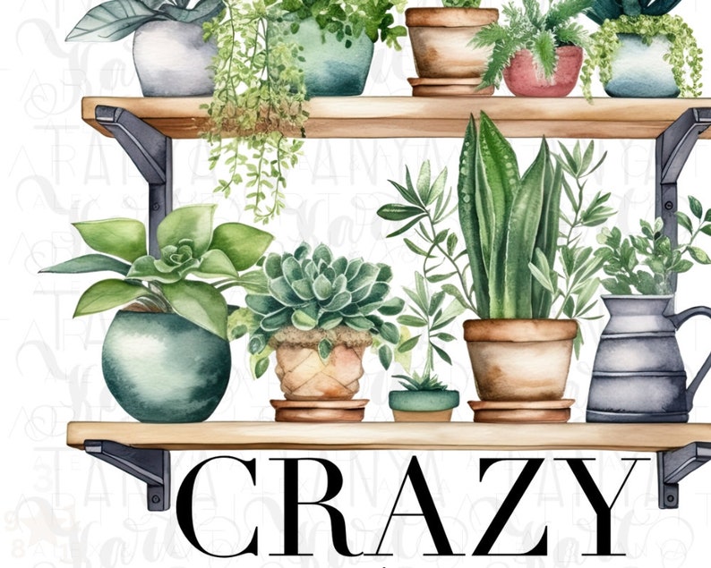 May include: A set of wooden shelves with a variety of potted plants, including succulents, ferns, and snake plants. The shelves are painted brown and have black metal brackets. The text "CRAZY" is printed in black on the bottom shelf.