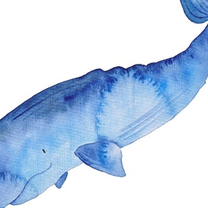 K&ouml;nnte beinhalten: Ein Aquarellbild eines blauen Pottwals vor wei&szlig;em Hintergrund.
