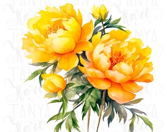 Yellow Peonies PNG Digital Download, Botanical Floral Stickers & Wall Art, Spring Floral PNG, Planner Stickers, Shirt Designs