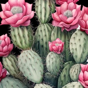 Watercolor Cactus Sublimation Download,Instant PNG Format for Shirts and Crafting Designs,Digital Pink Floral Plant Image for Commercial Use image 5
