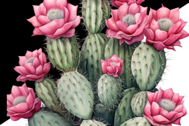 Watercolor Cactus Sublimation Download,Instant PNG Format for Shirts and Crafting Designs,Digital Pink Floral Plant Image for Commercial Use image 5