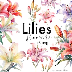 Clipart lys aquarelle, téléchargement immédiat Png pour sublimation, bouquets de fleurs, clipart floral lys pour un usage commercial, art numérique