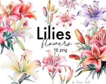 Watercolor Lilies Clipart, Instant Download Png for Sublimation, Flower Bouquets, Lily Floral Clipart for Commercial Use, Digital Design Art