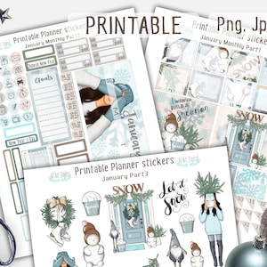 Adesivos de planejador, adesivos de janeiro, kit mensal, adesivos de planejador imprimíveis, adesivos Erin Condren, kit de inverno, moda, layout de inverno