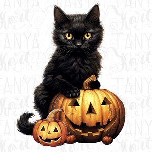 Black Cat Pumpkin Art Print - Cat Design PNG for Autumn Decor, Spooky ...