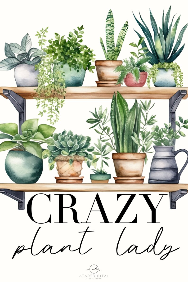 May include: A watercolor illustration of a shelf with various potted plants, including succulents, ferns, and snake plants. The text "CRAZY plant lady" is written below the shelf.
