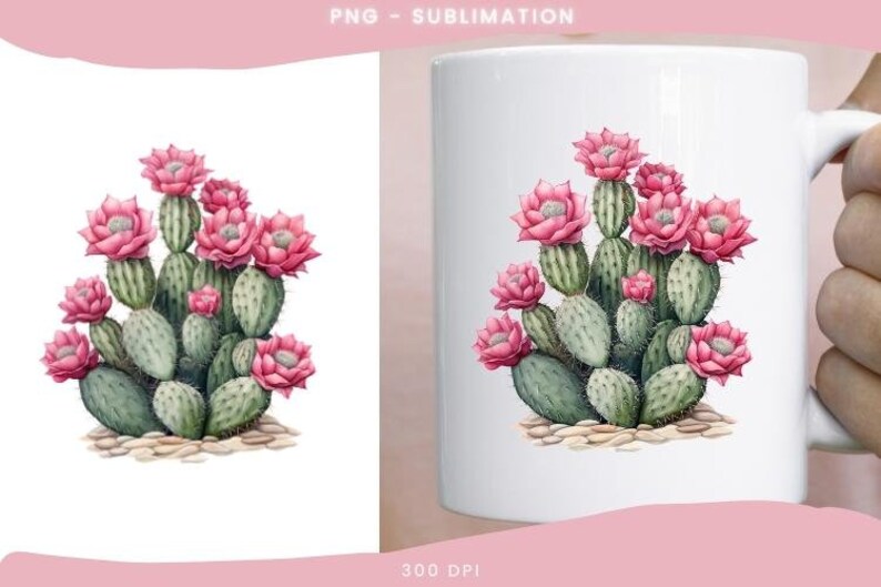 Watercolor Cactus Sublimation Download,Instant PNG Format for Shirts and Crafting Designs,Digital Pink Floral Plant Image for Commercial Use image 2