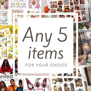 5 items uit de shopverkoopbundel met digitale downloadbestanden, illustraties, png-bestand, GoodNotes-stickers, junkjournal, afdrukbare stickers