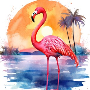 Flamingo Beach Sunset Clipart for Commercial Use, Watercolor Tropical Pink Flamingo Sublimation Designs, Ocean Sunset Png Instant Download image 6