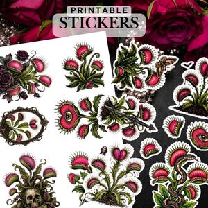 Puede incluir: Una hoja de pegatinas imprimibles con varias ilustraciones de venus atrapamoscas en tonos rosas y verdes. Los diseños incluyen plantas con calaveras, dagas, ojos y rosas. El texto PRINTABLE STICKERS es visible en la parte superior de la hoja.