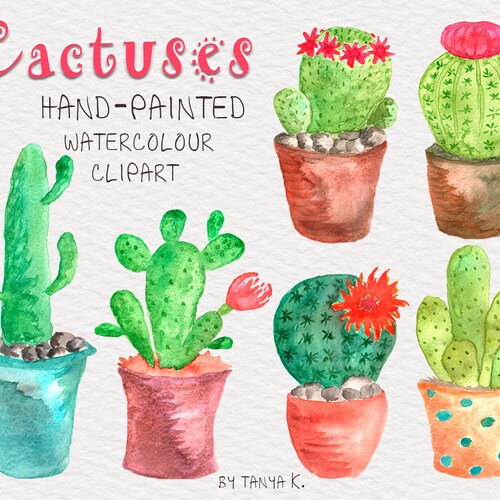 2018 Credit Card Holder Transparent Cover Case Unisex Cute Girl Cactus With Bell 2018 Credit Card Holder Transparent Cover Case Unisex Cute Girl Cactus With Bell