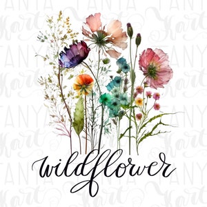 Wildflower Png, Illustrazione floreale, Grafica camomilla, Disegni a sublimazione, Fiori amore, Design biglietto di auguri, Caricamento file immagine