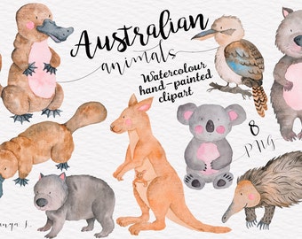 Australian Animals Watercolor Clipart For Commercial Use, Koala, Kangaroo, Cute Kids Animals Clipart, Nursery Animals, Baby Shower Clipart